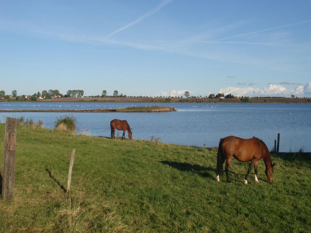Appartementanlage Zur Seemoewe Insel Poel Exteriör bild