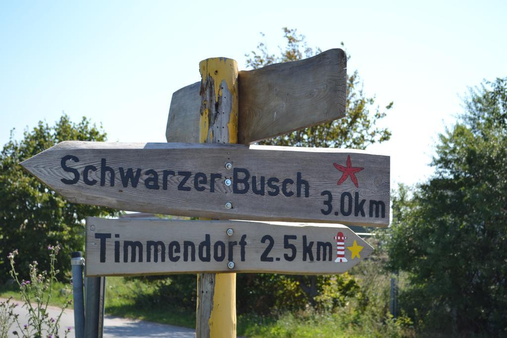 Appartementanlage Zur Seemoewe Insel Poel Exteriör bild