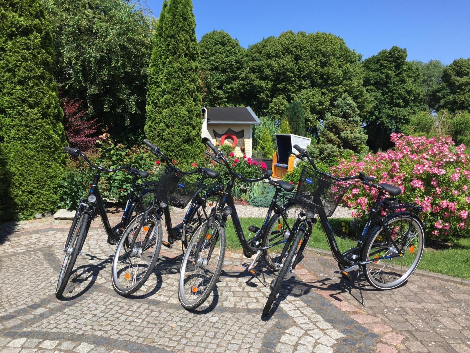 Appartementanlage Zur Seemoewe Insel Poel Exteriör bild